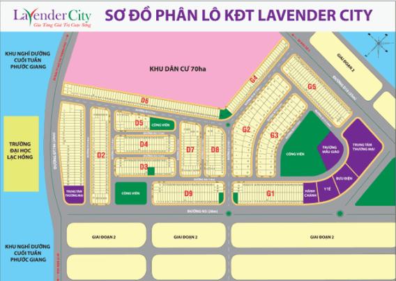 Hạ tầng, quy hoạch của Lavender City | ảnh 1