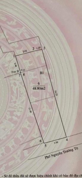 Bán Đất Mặt Phố Cổ - Nguyễn Trường Tộ, Dt 48,8M2, Giá 22 Tỷ. ( Có Thương Lượng ) - 12825325