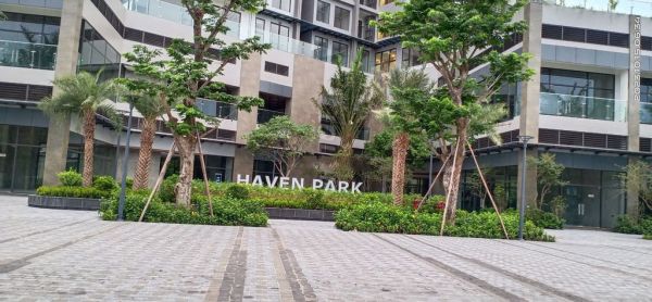 Bán Và Cho Thuê Căn Hộ Chung Cư Haven Park – Ecopark Full Nội Thất. - 12995449
