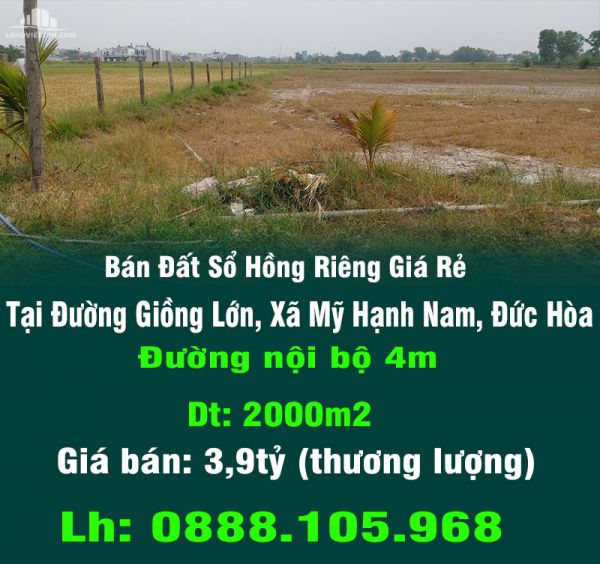 Bán Đất Sổ Hồng Riêng Giá Rẻ Trung Tâm Mỹ Hạnh Nam-Đức Hòa-Long An - 13108783